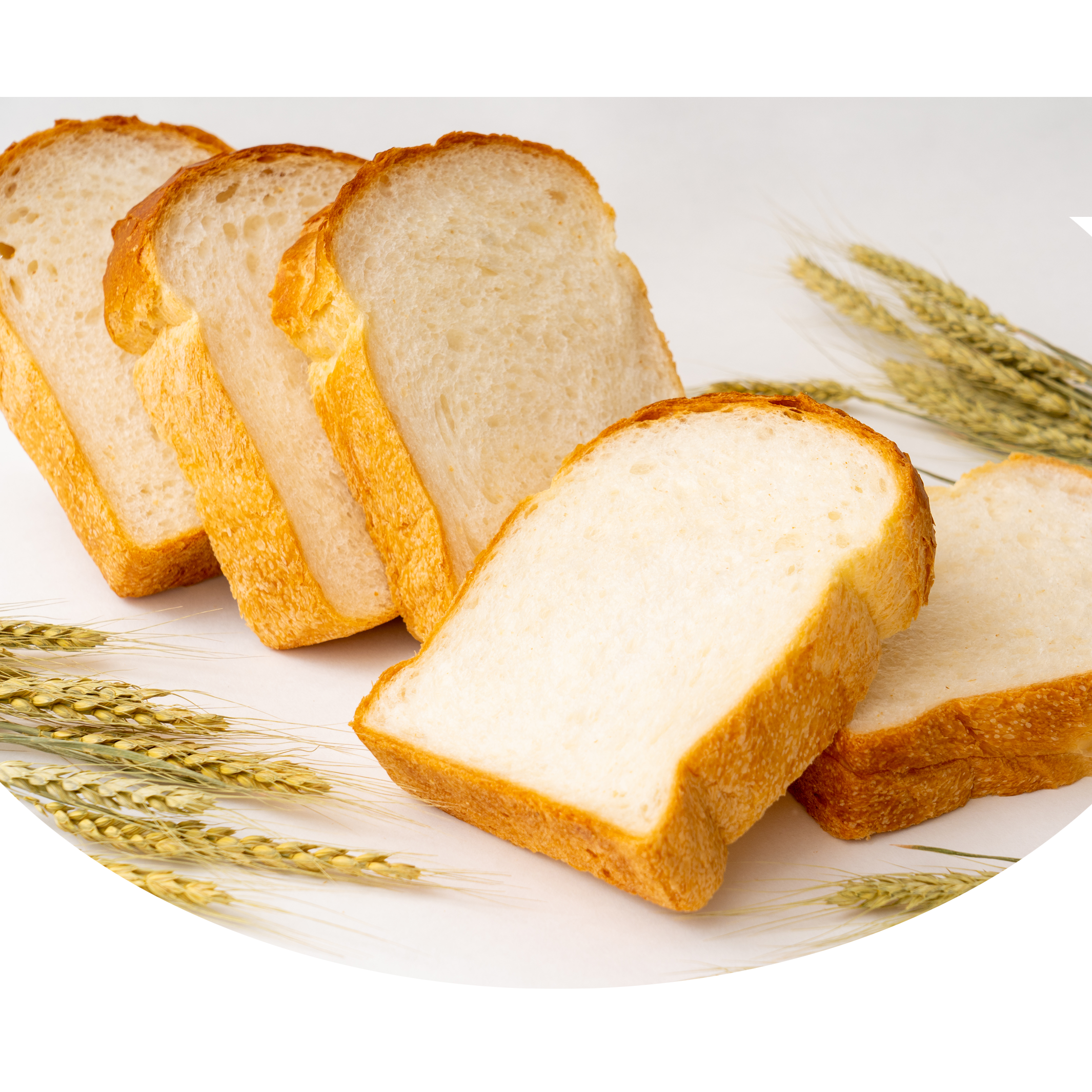 スペシャルティコーヒー