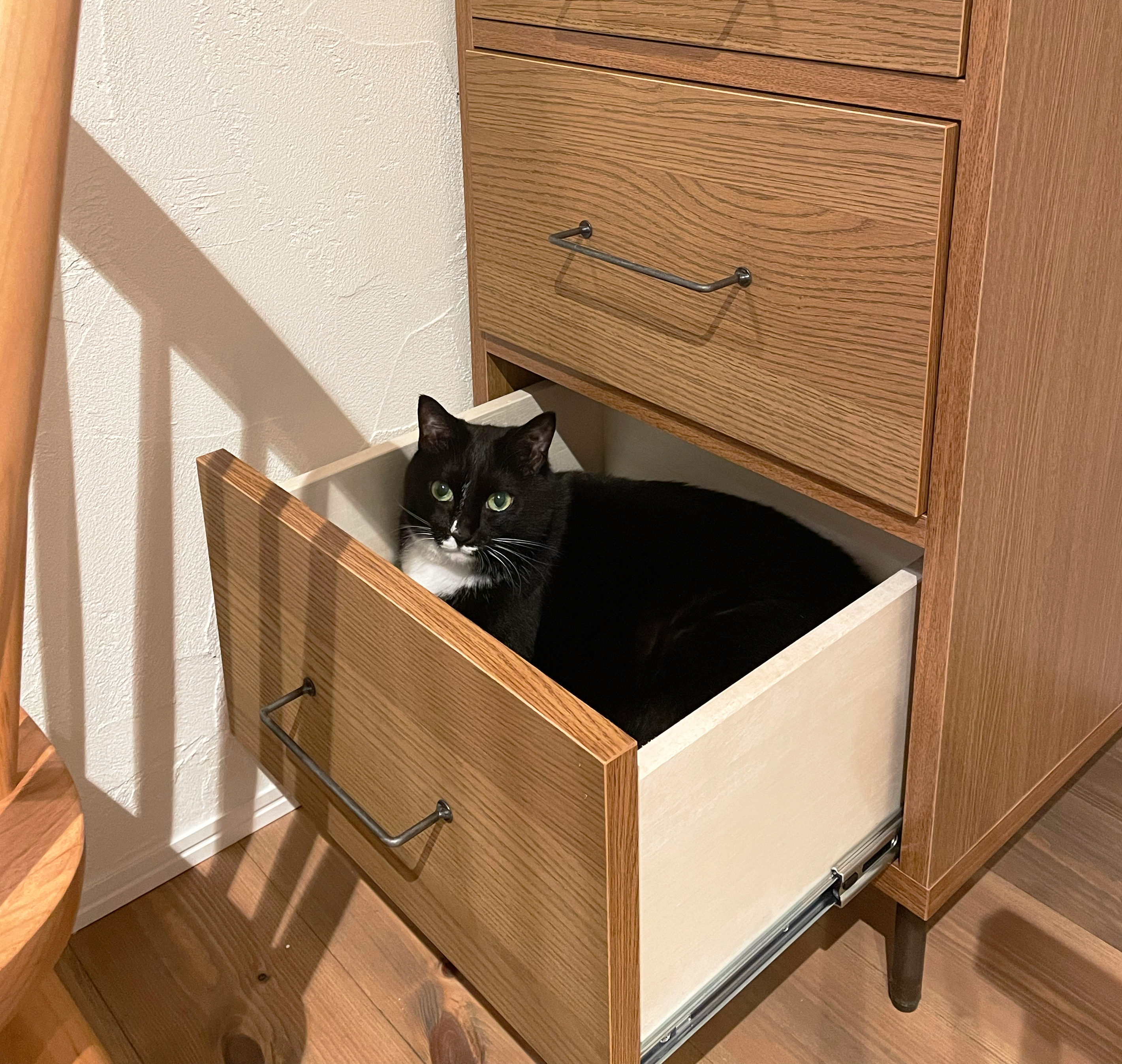 冠雪した御嶽山